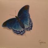 Drawing titled "Butterfly" by Goksun Cilingir, Original Artwork, Charcoal