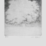 Incisioni, stampe intitolato "Baum" da Hannes Hofstetter, Opera d'arte originale, Acquaforte