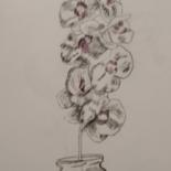 Drawing titled "Orchids" by Irina Kromm, Original Artwork, Graphite