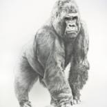 Рисунок под названием "Gorille de montagne" - Jacek Ciecierski, Подлинное произведение искусства, Карандаш