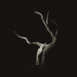 Fotografie mit dem Titel "Mother Nature" von John Donica, Original-Kunstwerk, Analog Fotografie