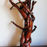 Sculpture intitulée "Bois tortueux" par Jonathan Pradillon, Œuvre d'art originale, Bois