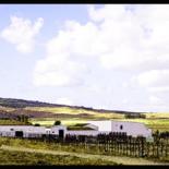 Digital Paint : Landscape by L Kerval