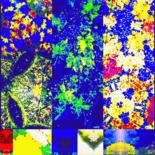MixFeuille ©2015 par Kirlian