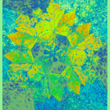 Feuille Turquoise ©2017 par Kirlian