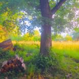 Kirlian Galerie Nature* by Kirlian