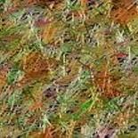 Digital Arts titled "Grass and straw" by Kristina Maskarin, Original Artwork