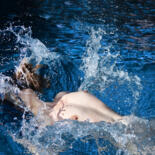 Fotografia intitulada "Splash" por Laurent Ringeval, Obras de arte originais, Fotografia Não Manipulada Montado em Plexiglass
