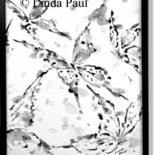 Painting titled "Butterfllies #2 bla…" by Linda Paul, Original Artwork, Ink Mounted on Wood Panel