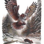 Dessin intitulée "The Owl And The Mou…" par Daria Maier, Œuvre d'art originale, Stylo à bille