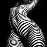 Photographie intitulée "zebra" par Mikhail Faletkin, Œuvre d'art originale, Photographie numérique