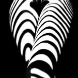Fotografia zatytułowany „zebra ass 2” autorstwa Mikhail Faletkin, Oryginalna praca, Fotografia cyfrowa