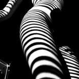 Фотография под названием "Surreal zebra" - Mikhail Faletkin, Подлинное произведение искусства, Цифровая фотография