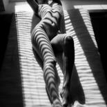 Фотография под названием "zebra 7" - Mikhail Faletkin, Подлинное произведение искусства, Цифровая фотография