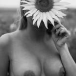 제목이 "sunflowers 3"인 사진 Mikhail Faletkin로, 원작, 디지털