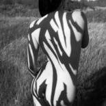 Photographie intitulée "zebra 14" par Mikhail Faletkin, Œuvre d'art originale, Photographie numérique