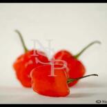 Fotografie mit dem Titel "Peppers Peppers and…" von Nicole Stanislas, Original-Kunstwerk