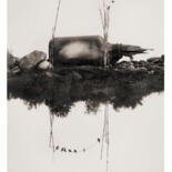 Photographie intitulée "De cuervos y plomas" par Oriol Jolonch, Œuvre d'art originale, Photographie numérique