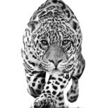 "Jaguar" başlıklı Resim Paul Stowe tarafından, Orijinal sanat, Grafit