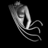 Photography titled "Medusa" by Pedro Noir, Original Artwork, Digital Photography Mounted on Wood Stretcher frame