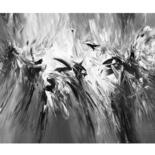 Peinture intitulée "Black And White Ins…" par Peter Nottrott, Œuvre d'art originale, Acrylique