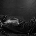 Fotografía titulada "Black Panther dream…" por Edgar Garces, Obra de arte original, Fotografía no manipulada