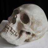 雕塑 标题为“Skull #5#” 由Pio30, 原创艺术品, 其他