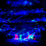 LIGHT PAINTING by Rached Miladi (Le mutagraphe)