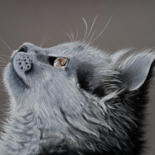 Drawing titled "Katzenaugenblick" by Renate Dohr, Original Artwork, Pastel