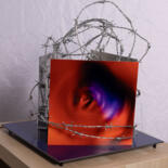 Sculpture titled "Ihr Schmerz ist ein…" by Rob Deer Art, Original Artwork, Manipulated Photography