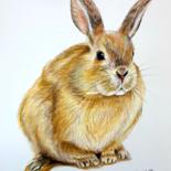 Drawing titled "Bunny" by São Vieira, Original Artwork, Pencil