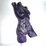 Escultura titulada "Torso - Female in V…" por Scott Camazine, Obra de arte original, Madera