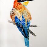 Рисунок под названием "Bright bird squint" - Tatyana Pustovit, Подлинное произведение искусства, Акварель