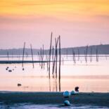 Photographie intitulée "Pastel-du-marais-sa…" par Thierry Magliulo (Th.Mag), Œuvre d'art originale