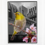 Photography titled "The Best Things in…" by Tina Lane, Original Artwork, Manipulated Photography Mounted on Cardboard