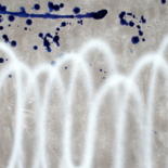 W.A. 2015 (Wall Abstraction), Spritzen, Splash by Eric Ullrich