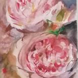 Dessin intitulée "Les pivoines roses" par Valérie Blum (Valery), Œuvre d'art originale, Aquarelle