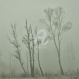Photographie intitulée "Les arbres de la ré…" par Virginie Dartois, Œuvre d'art originale, Photographie numérique