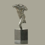 Sculptuur getiteld "Liberation" door Willem Botha, Origineel Kunstwerk, Bronzen