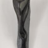 Sculpture intitulée "ZIM CERYNIE" par Yann Raufaste (YASKA), Œuvre d'art originale, Pierre Monté sur Pierre
